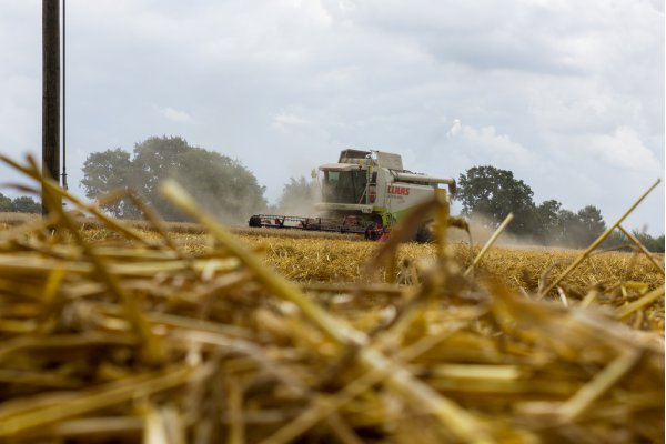 Combine harvesting