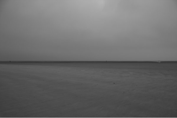 No Line On The Horizon